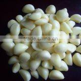 China Garlic Price 2016 thumbnail-3