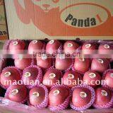 Honey Apples thumbnail-1