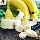 Direct Factory Price the Good Quality Ethylene Ripener for Banana(3) thumbnail-3