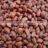 Northeast China red cowpea