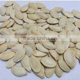 Inner Mogolia High Quality of Shine Skin Pumpkin Seed Factory for Buyers thumbnail-4