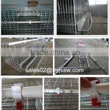 Chicken Cage Poultry Farm thumbnail-4