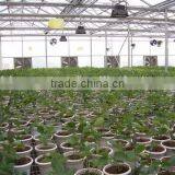 Saled Agricultural Greenhouse for Sale thumbnail-2