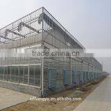 Large Glass Greenhouse and Polycarbonate Sheet for Agriculture thumbnail-1