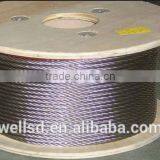 Good Quality Various Diameter Carbon Steel Wire Rope 6*36 Made in China thumbnail-2
