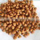 Balanced Pet Dog Diet Dog Food thumbnail-6