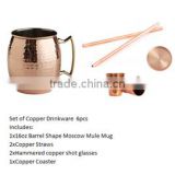 Copper Drinkware Set for Home Bar