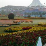 Big Outdoor Tall Plastic Decorative Flower Pots thumbnail-5