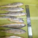 best quality seafood sellers and wholesale fish