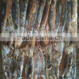 Fresh Illex Argentinus Squid for Sale Market thumbnail-2