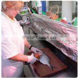 Electric Fish Scaler thumbnail-5