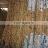 Raw Manau Rattan Cane Roots thumbnail-2
