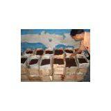 India Vermi Compost thumbnail-1