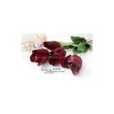 XH-TU-X-2101 Product:Tulip,1 Head/pc Material: Polyester,wire, Silk Length:26.5 Inch thumbnail-1