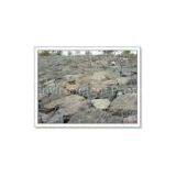 Gabion Boxes thumbnail-3