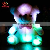 Personlized musical singing and Flashlight Glow-in-the-dark led light up teddy bear plush toy