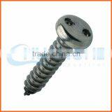China Supplier Pan Head Anti-theft Screw thumbnail-6