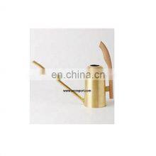 Antique Water Cans Planters