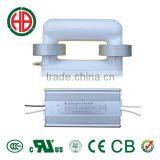 HB 40w 50w 60w 80w 100w S Induction Lamp 12v 24v Solar Lamp