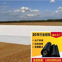 400g Artificial Lake Landscape Pond Lining Polyester Long Fiber Geotextile thumbnail-2
