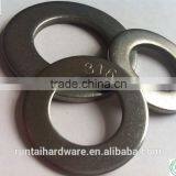 Din9012 Type 316 Thin Flat Washer 12mm