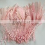 Pink stripped coque feather,millinery feathers,feather decoration in size 6-8''