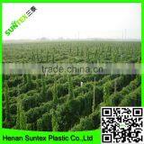 Strong Durable Pro-Net Plant Support Scrog Net GrowTent Mesh Netting thumbnail-3