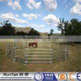 Anping Factory Hot Dipped Galvanized Horse Round Yards (ISO9001,Since 1989)