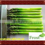 Frozen Asparagus thumbnail-1