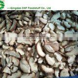 Market Prices for Mushroom thumbnail-3