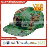 Custom Flat Brim 5 Panel Cap Print Cotton Cap thumbnail-5