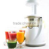 2016 Slow Juicer thumbnail-1
