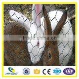 Hanqing Galvanized / PVC Chicken wire mesh manufacture