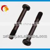 Plating Black Zinc Machine Screw M4*25