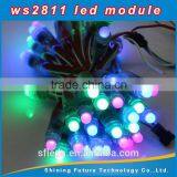 12mm WS2811 rgb led pixel module,IP68 DC5V 12V full color RGB string christmas LED light Addressable Pixel Led