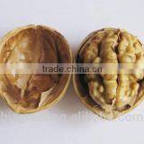 New Crop Bulk Walnut in Thin Shell for Sales thumbnail-4