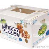 Hot Sale Packaging Food Box