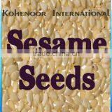 Sesame Seed