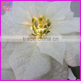 Wholesale Artifiical Poinsettia Led Flower Light thumbnail-5