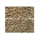 Cummin Seeds thumbnail-1