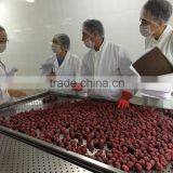 Grade A Quick IQF Strawberry Whole thumbnail-2