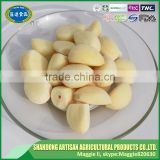 Good quality IQF peeled normal white frozen garlic from professioanl manufacturer