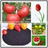 Fertilizers for Banana thumbnail-2