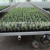 Anti-corrosion seedbed for greenhouse