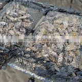Canada oyster farm use oyster grow out bag 10*10mm