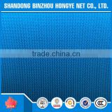 high quality mono blue plastic construction safety net/blue vertical safety net