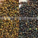 High Quality Seeds Color Sorter With CE/SONCAP Certification thumbnail-4