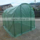 Poly Tunnel Greenhouse Plastic Greenhouse for Sale/ 3*2*2 thumbnail-1