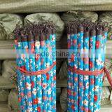Plastic 120x2.2cm Good Quality Italian Threaded Broom Wooden Sticks Made in China thumbnail-1