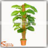 Wholesale Plastiac Potted Tree Indoor Decoration Artifiicial Green Tree Fake Indoor Green Tree for Sale thumbnail-1